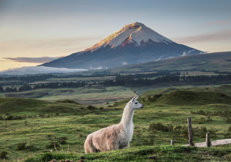 Ecuador