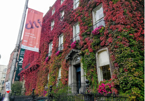Kildare Street and University Club